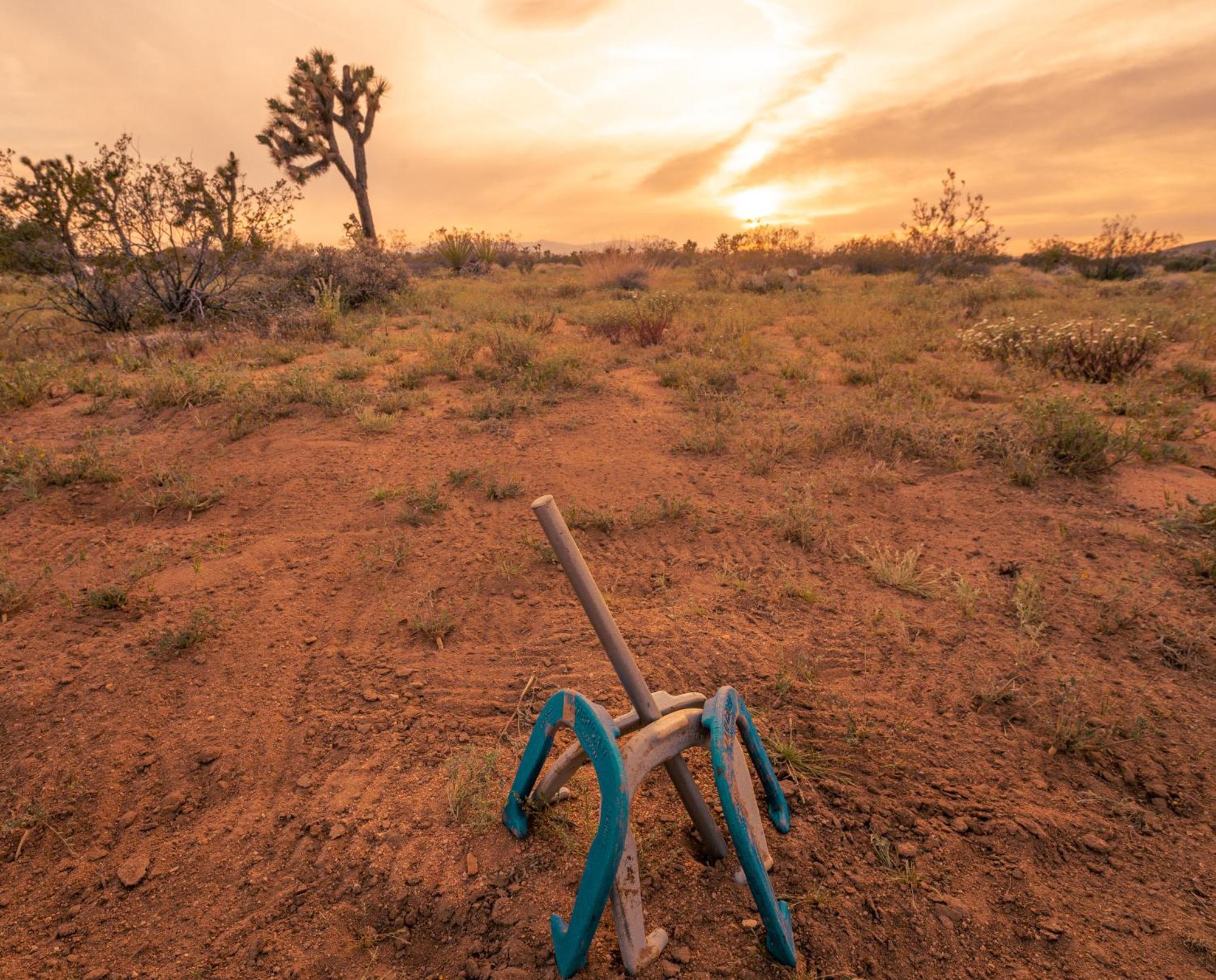 Coyote Tracks - A Modern Desert Experience Villa Джошуа Три Екстериор снимка